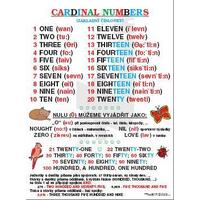 Cardinal Number (základní číslovky) - plakát (1ks)