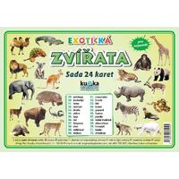 Zvířata exotická - (sada 24 karet A7)
