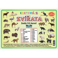 Zvířata exotická 2 - (sada 24 karet A7)