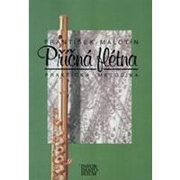 Příčná flétna - praktická metodika