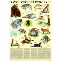 Savci střední Evropy I. - Šelmy - nástěnná tabule ( 67x96 cm bez lišt)