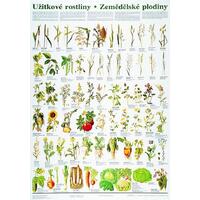 Užitkové rostliny / zemědělské plodiny - nástěnná tabule ( 67x96 cm )