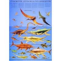 Ptakoještěři, ještěroploutví a ryboještěři - nástěnná tabule ( 67x96 cm )