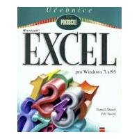 Microsoft Excel pro Windows 3.x/95 - učebnice pro pokročilé