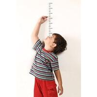 Měřidlo výšky dětí 200 cm (200x12cm) / DOPRODEJ