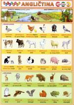 Obrázková angličtina 1 - Zvířata  (tabulka 1XA5)