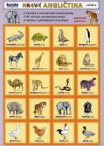 Hravá angličtina 1- Zvířata  (tabulka 4xA5)