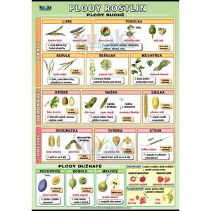 Plody rostlin  (tabulka A4)