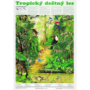 Tropický deštný les - nástěnný obraz ( 67x96 cm bez lišt )