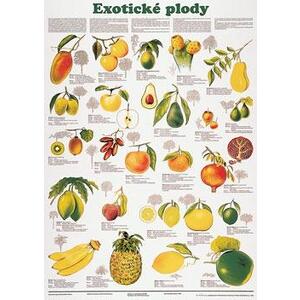 Exotické plody - nástěnná tabule  ( 67x96 cm bez lišt)