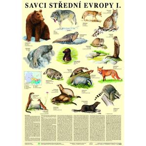 Savci střední Evropy I. - Šelmy - nástěnný obraz ( 67x96 cm bez lišt )