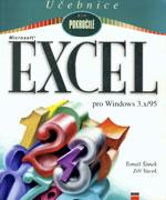 Microsoft Excel pro Windows 3.x/95 - učebnice pro pokročilé